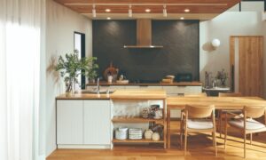 クリナップのステディア