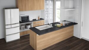 パナソニックのラクシーナの特徴